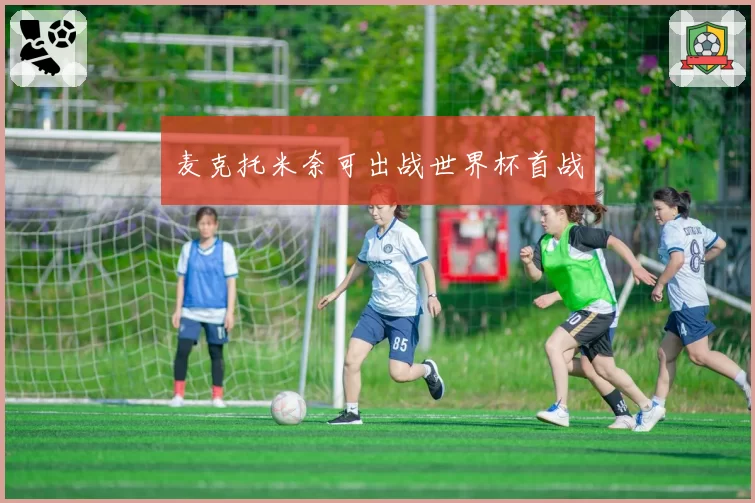 麦克托米奈可出战世界杯首战